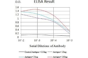 Black line: Control Antigen (100 ng),Purple line: Antigen (10 ng), Blue line: Antigen (50 ng), Red line:Antigen (100 ng) (KAT2B antibody  (AA 1-142))