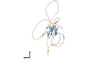 Protein Structure (PS) image for Gametogenetin Binding Protein 1 (GGNBP1) (AA 1-370) protein (His tag) (ABIN7557940)