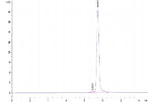 The purity of Human IL-33 is greater than 95 % as determined by SEC-HPLC. (IL-33 Protein (AA 112-270))