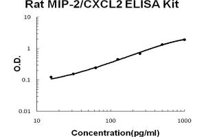 Rat CXCL2/MIP-2 Accusignal ELISA Kit Rat CXCL2/MIP-2 AccuSignal ELISA Kit standard curve. (CXCL2 ELISA Kit)
