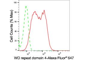 Flow cytometric analysis of WD repeat domain 4 expression in HepG2 cells using WD repeat domain 4 antibody (ABIN7800853), 1:2,000). (Recombinant WDR4 antibody)