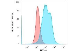 Flow Cytometry (FACS) image for anti-Calponin 1 (CNN1) antibody (ABIN6939166)