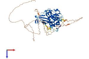 Ubiquitin Specific Peptidase 17-Like Family Member 19 (USP17L19) (AA 1-530) protein (His tag)