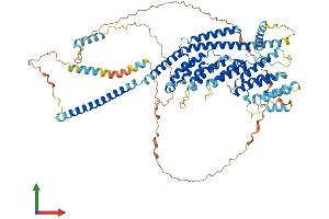 AlphaFold protein structure predicition of Mouse Recombinant Gcfc2 Protein, UniprotID Q8BKT3 (GCFC2 Protein (AA 1-769) (His tag))