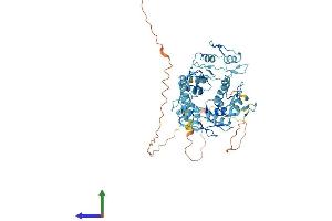 AlphaFold protein structure predicition of Human Recombinant ZNF490 Protein, UniprotID Q9ULM2