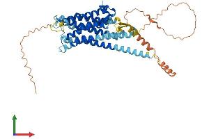Protein Structure (PS) image for Dopamine Receptor D2 (DRD2) (AA 1-444) protein (His tag) (ABIN7556574)