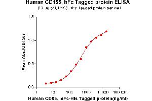 ELISA plate pre-coated by 2 μg/mL (100 μL/well) Human CD96, mFc-His tagged protein (ABIN6961101) can bind Human CD155, hFc tagged protein (ABIN6961168) in a linear range of 62. (Poliovirus Receptor Protein (PVR) (Fc Tag))