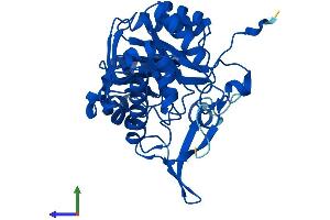 AlphaFold protein structure predicition of Mouse Recombinant Gmpr Protein, UniprotID Q9DCZ1