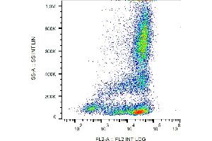 Flow cytometry analysis (surface staining) of human peripheral blood cells with anti-CD62L (LT-TD180) PE. (L-Selectin antibody  (PE))