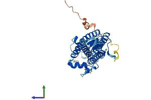 AlphaFold protein structure predicition of Human Recombinant ZDHHC3 Protein, UniprotID Q9NYG2 (ZDHHC3 Protein (AA 1-299) (His tag))
