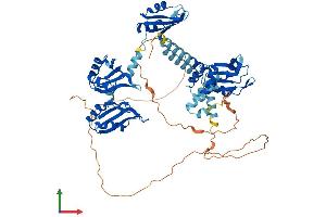 AlphaFold protein structure predicition of Human Recombinant PABPC1 Protein, UniprotID P11940 (PABP Protein (AA 1-636) (His tag))