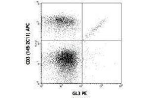 Flow Cytometry (FACS) image for anti-T-Cell Receptor gamma/delta (TCR gamma/delta) antibody (PE) (ABIN2663901) (TCR gamma/delta antibody  (PE))