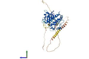 Protein Structure (PS) image for Calcium/calmodulin-Dependent Protein Kinase IV (CAMK4) (AA 1-469) protein (His tag) (ABIN7562761)