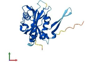 Protein Structure (PS) image for Nudix Hydrolase 8 (NUDT8) (AA 1-210) protein (His tag) (ABIN7560601)