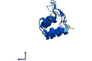 AlphaFold protein structure predicition of Mouse Recombinant Cdkn2b Protein, UniprotID P55271 (CDKN2B Protein (AA 1-130) (His tag))