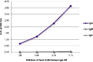 ELISA plate was coated with purified human IgG, IgM, and IgA. (Goat anti-Human IgG (Heavy Chain) Antibody (Alkaline Phosphatase (AP)))