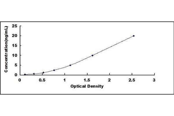 FKBP5 ELISA Kit