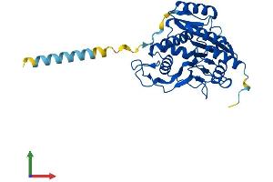 AlphaFold protein structure predicition of Mouse Recombinant B3galt5 Protein, UniprotID Q9JI67