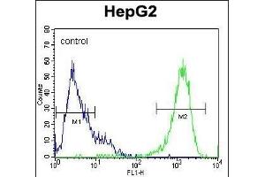 PK1 Antibody (C-term) (ABIN1882175 and ABIN2841383) flow cytometric analysis of HepG2 cells (right histogram) compared to a negative control cell (left histogram). (ERK2 antibody  (C-Term))