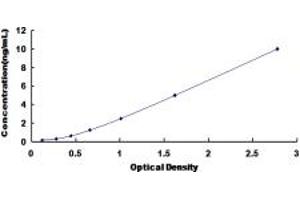 Typical standard curve (WASF2 ELISA Kit)