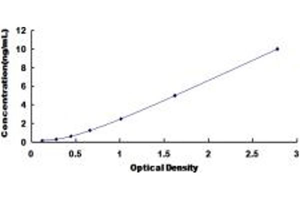 WASF2 ELISA Kit