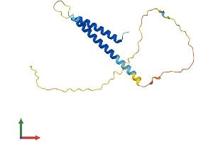AlphaFold protein structure predicition of Human Recombinant BAP18 Protein, UniprotID Q8IXM2
