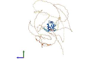 Protein Structure (PS) image for E74-Like Factor 2 (Ets Domain Transcription Factor) (ELF2) (AA 1-593) protein (His tag) (ABIN7561495)