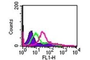 Image no. 3 for anti-Interleukin 24 (IL24) (AA 100-150) antibody (ABIN302672) (IL-24 antibody  (AA 100-150))