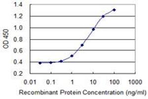 Detection limit for recombinant GST tagged SLC26A2 is 0. (SLC26A2 antibody  (AA 1-108))