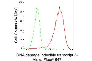 Flow cytometric analysis of DNA damage inducible transcript 3 expression in HepG2 cells using DNA damage inducible transcript 3c antibody (ABIN7798369), 1:2,000). (Recombinant DDIT3 antibody)