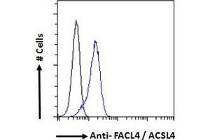 ABIN184846 Flow cytometric analysis of paraformaldehyde fixed HeLa cells (blue line), permeabilized with 0. (ACSL4 antibody  (C-Term))