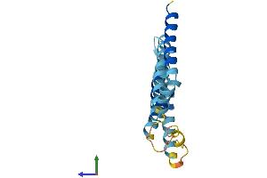 AlphaFold protein structure predicition of Mouse Recombinant Mtnd6 Protein, UniprotID P03925 (MT-ND6 Protein (AA 1-172) (His tag))