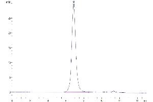 The purity of Biotinylated IL-13Ra1 is greater than 95 % as determined by SEC-HPLC. (IL13 Receptor alpha 1 Protein (AA 27-343) (His-Avi Tag,Biotin))