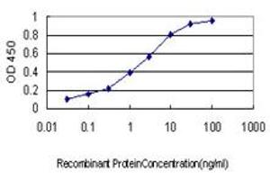 Detection limit for recombinant GST tagged RNF139 is approximately 0. (RNF139 antibody  (AA 565-664))