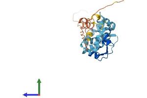 AlphaFold protein structure predicition of Human Recombinant KCNIP3 Protein, UniprotID Q9Y2W7