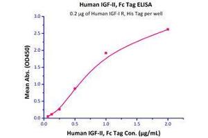 Immobilized Human IGF-I R, His Tag (Cat# IGR-H5229) at 2 μg/mL (100 µl/well),can bind Human IGF-II, Fc Tag (Cat# IG2-H4260) with a linear range of 0. (IGF2 Protein (AA 25-91) (Fc Tag))