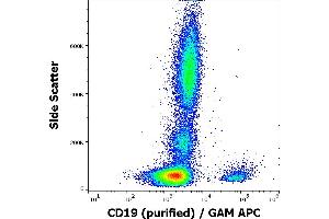 Flow cytometry surface staining pattern of human peripheral blood stained using anti-human CD19 (4G7) purified antibody (concentration in sample 3 μg/mL) GAM APC. (CD19 antibody)
