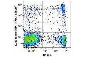 Flow Cytometry (FACS) image for anti-beta-1,3-Glucuronyltransferase 1 (Glucuronosyltransferase P) (B3GAT1) antibody (Pacific Blue) (ABIN2662172) (CD57 antibody  (Pacific Blue))