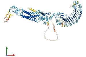 AlphaFold protein structure predicition of Human Recombinant LRRC8B Protein, UniprotID Q6P9F7