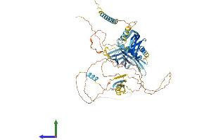 AlphaFold protein structure predicition of Human Recombinant C2CD2L Protein, UniprotID O14523 (C2CD2L Protein (AA 1-706) (His tag))