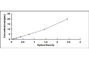 Typical standard curve (LDHB ELISA Kit)