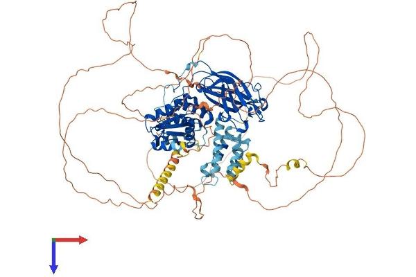DNAJC6 Protein (AA 1-938) (His tag)
