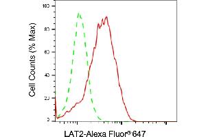 Flow cytometric analysis of LAT2 expression in Raji cells using LAT2 antibody (ABIN7799274), 1:2,000).
