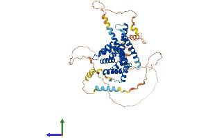 Protein Structure (PS) image for Target of Myb1-Like 2 (TOM1L2) (AA 1-507) protein (His tag) (ABIN7557526)