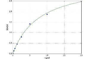 rho-Associated, Coiled-Coil Containing Protein Kinase 2 (ROCK2) ELISA Kit