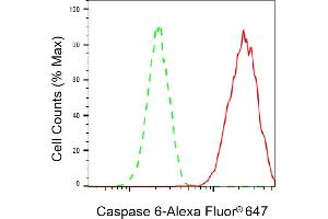 Flow cytometric analysis of Caspase 6 expression in HAP-1 cells using Caspase 6 antibody (ABIN7797899), 1:2,000). (Recombinant Caspase 6 antibody)