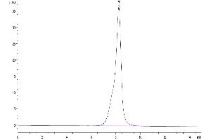 The purity of Canine GUCY2C/Guanylyl cyclase C is greater than 95 % as determined by SEC-HPLC.