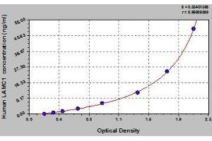 Typical standard curve (Laminin gamma 1 ELISA Kit)
