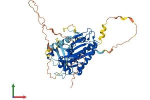 AlphaFold protein structure predicition of Mouse Recombinant Ip6k1 Protein, UniprotID Q6PD10
