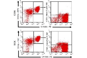 Flow Cytometry (FACS) image for anti-CD63 (CD63) (AA 120-175) antibody (ABIN1440014)